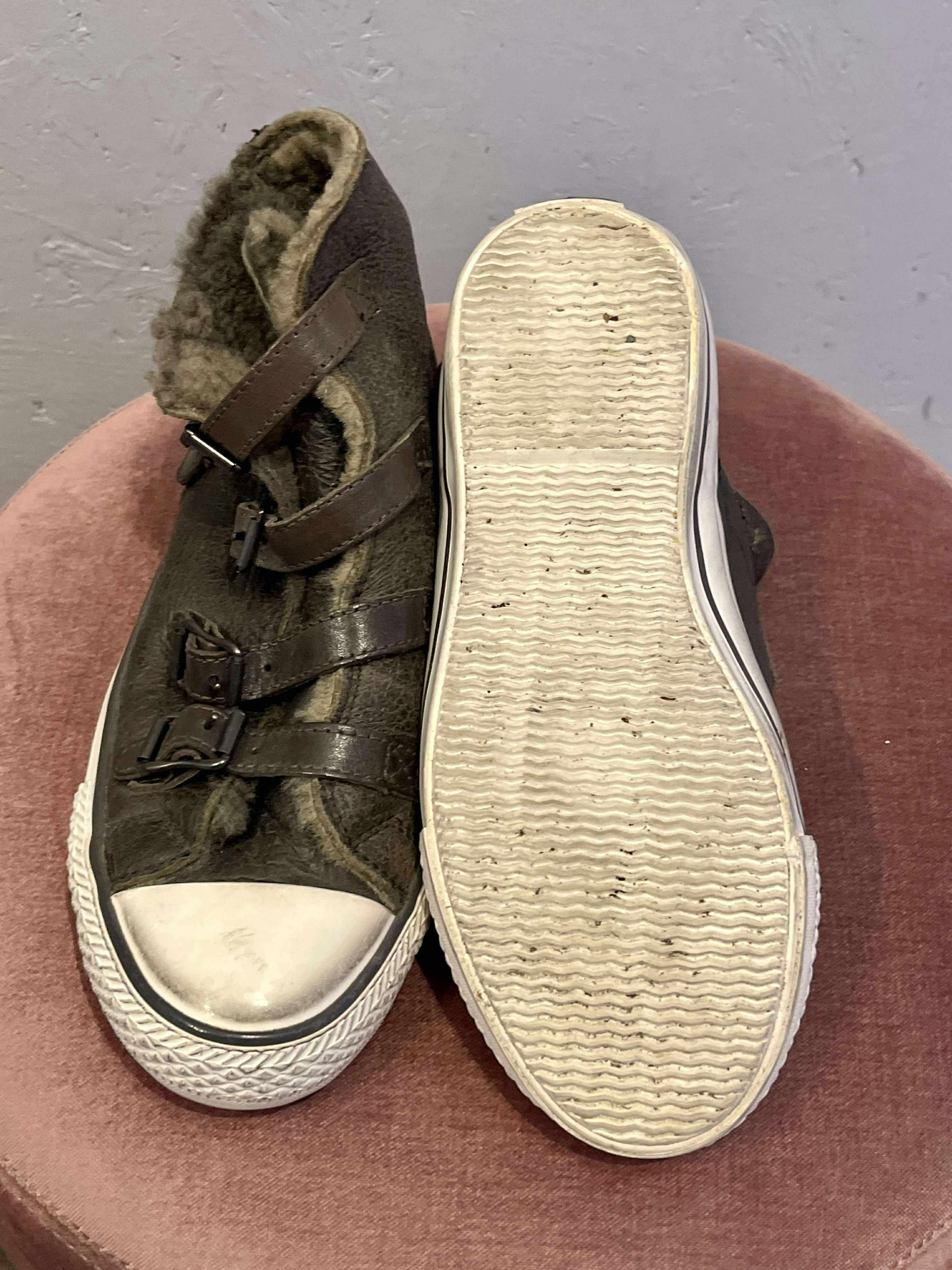 Ash - Sneaks - Size: 36